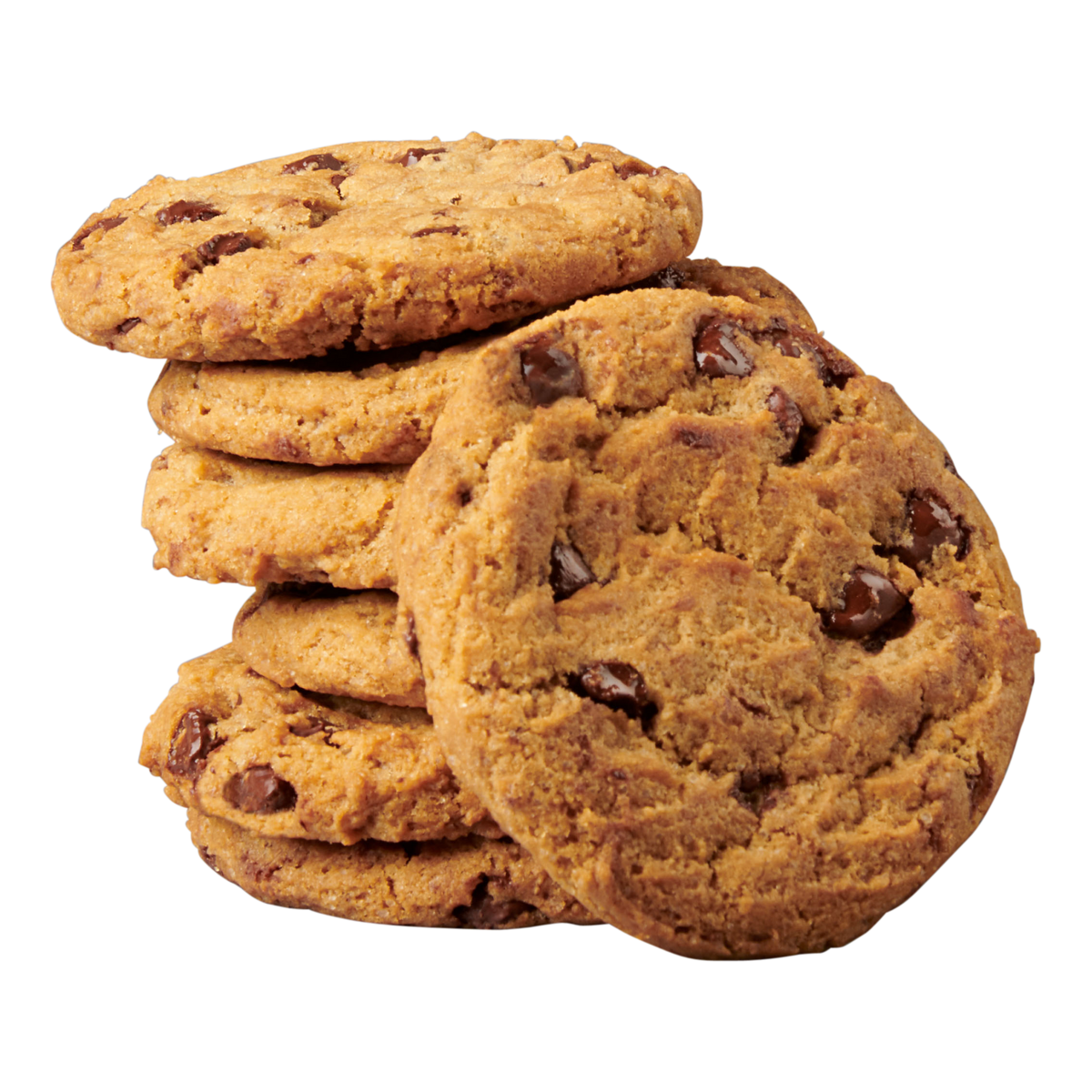 CHOCOCHIP COOKIE 20 ブラウン CHOCOCHIP COOKIE 20 ブラウン CHOCOCHIP COOKIE 20 ブラウン CHOCOCHIP COOKIE 20 ブラウン