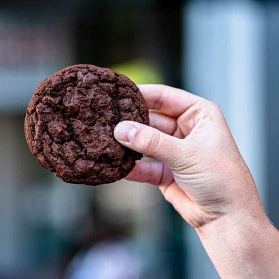 A hand holding a chocolate cookie